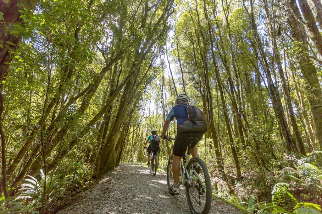 Hire a Bike to Cycle the West Coast Wilderness Trail - Hokitika Cycles