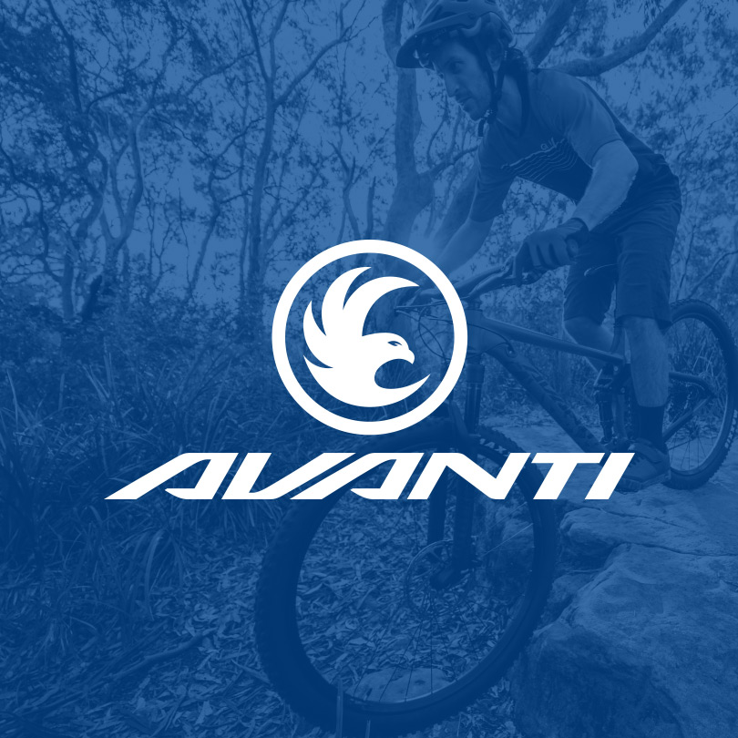 Avanti Bikes